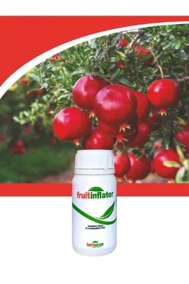 TerraOrga Fruıt Inflator Azot Potasyum Ve Kalsiyum Içerikli Sıvı Organomineral Gübre 250 ml Lom025-2