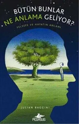 BÜTÜN BUNLAR NE ANLAMA GELİYOR?