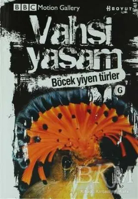 Vahşi Yaşam 2 - Böcek Yiyen Türler
