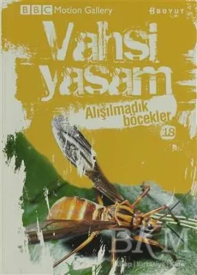 Vahşi Yaşam 2 - Alışılmadık Böcekler