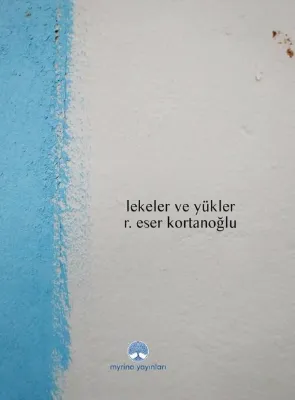 Lekeler ve Yükler