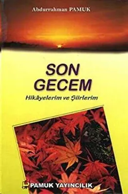 Son Gecem - Hikayelerim ve Şiirlerim Kültür-003