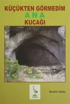 Küçükten Görmedim Ana Kucağı