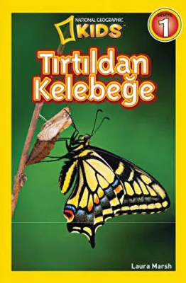 Tırtıldan Kelebeğe
