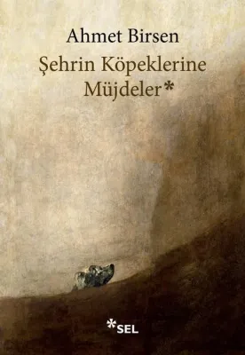 Şehrin Köpeklerine Müjdeler