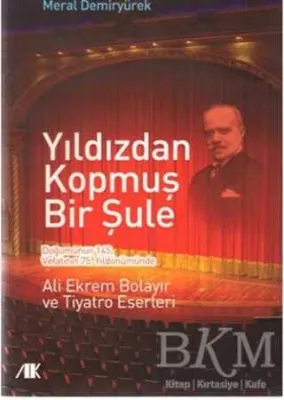 Yıldızdan Kopmuş Bir Şule