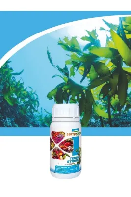 TerraOrga Terra Strong Potasyum Ve Alginik Asit Içerikli Sıvı Deniz Yosunu 250 ml Lor025-3