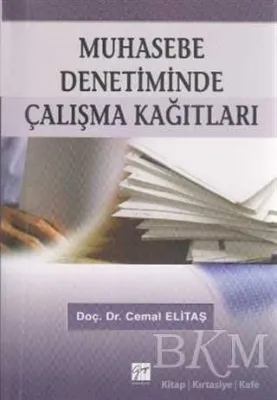 Muhasebe Denetiminde Çalışma Kağıtları